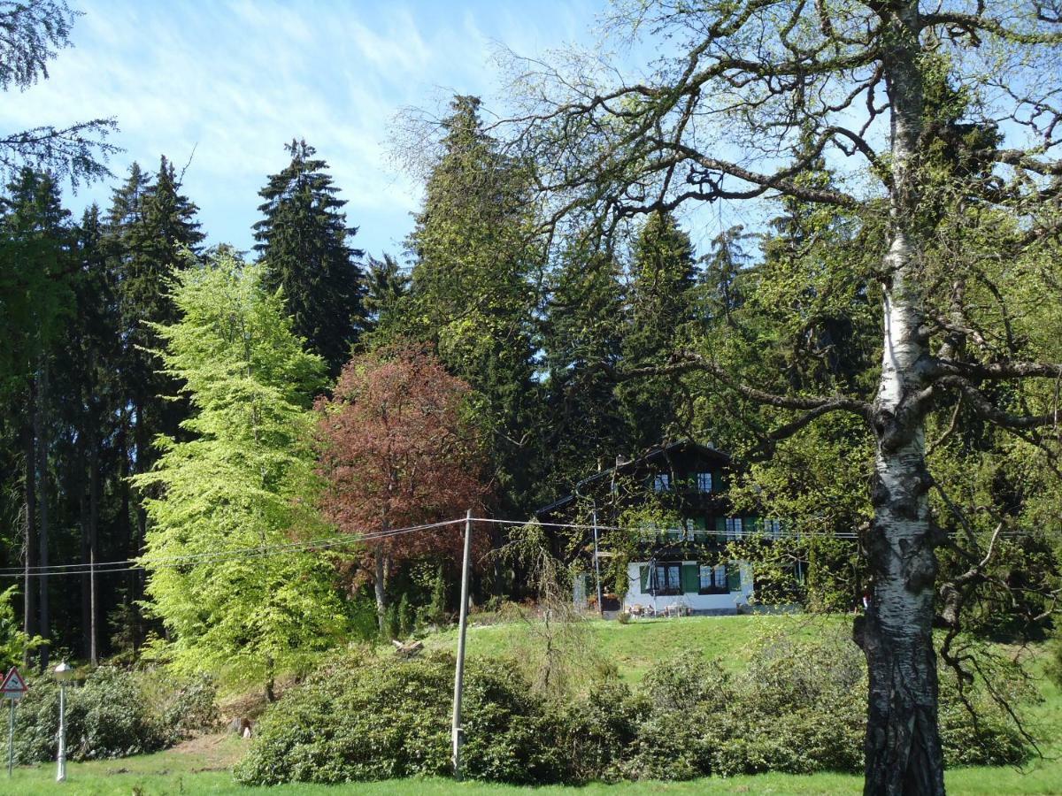 Apartman Forstamt Glatzen Kladska Mariánské Lázně Exterior foto